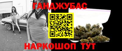 шишки Кингисепп