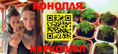 шишки Кингисепп