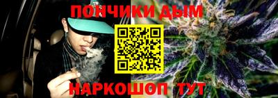шишки Кингисепп