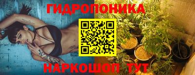 шишки Кингисепп