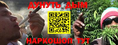 шишки Кингисепп
