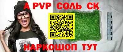 шишки Кингисепп