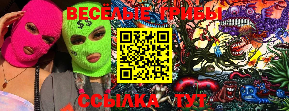 хочу   Псилоцибиновые грибы Psilocybe  Вход с VPN  Псилоцибиновые грибы Psilocybe  Коркино 
