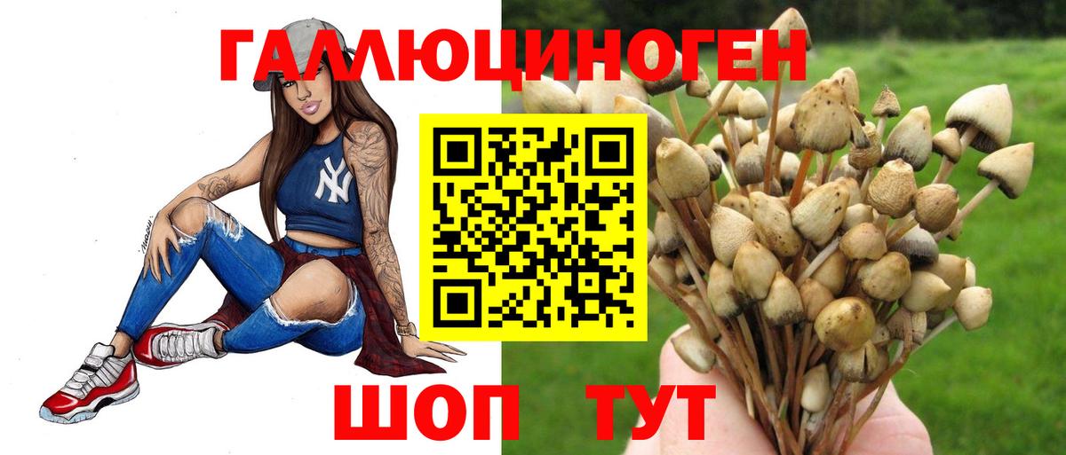 Галлюциногенные грибы Cubensis Коркино